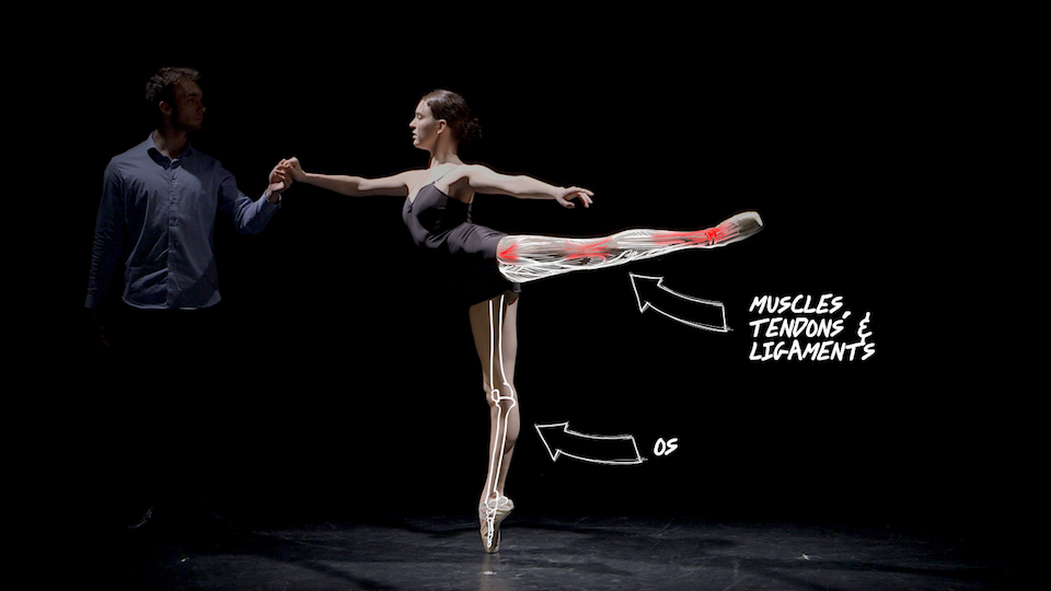 The Science Behind Arts